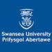 Swansea University