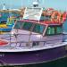 Kalk Bay Harbour in Cape Town city