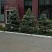 Цветник в городе Каменск-Шахтинский