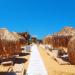 Beach bar 