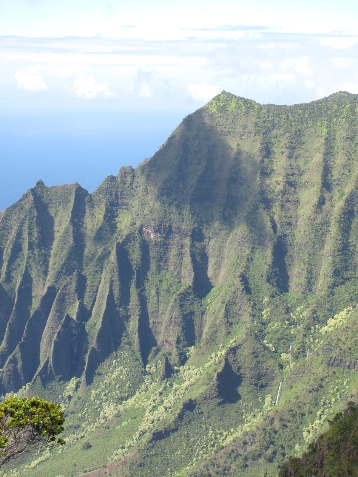 Kalalau Lookout 