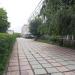 Аллея в городе Новосибирск