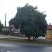 Rondo ks. Jerzego Popiełuszki in Starachowice city