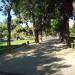 Parque de Atenas en la ciudad de Madrid