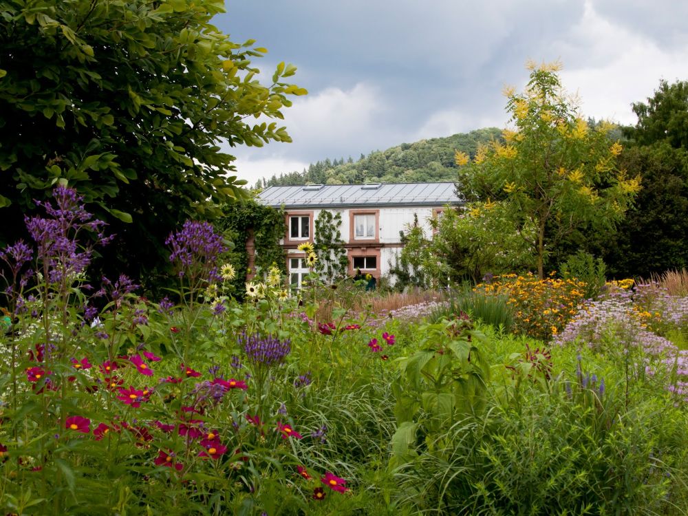 Schau und Sichtungsgarten Hermannshof Weinheim