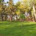 municipal forest in Alexandroupolis city