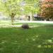 Peace Avenue Commemorative Stone in Nuneaton city