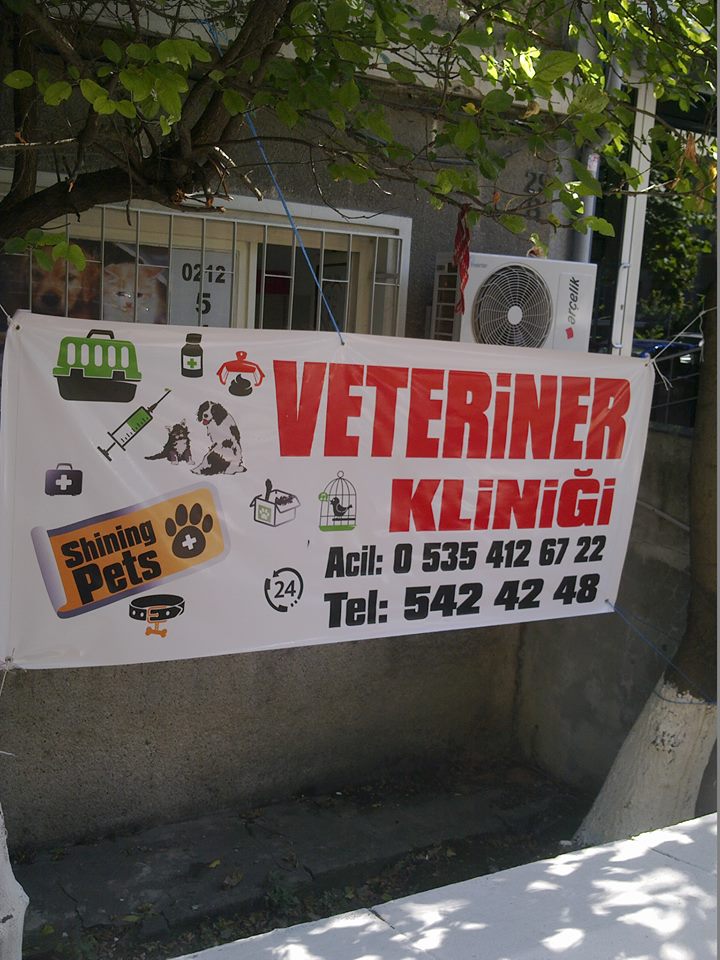 Shining Pets Veteriner Kliniği İstanbul Büyükşehir Belediyesi