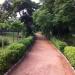 delhi gulmohar park path