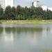 Остров в городе Москва