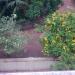 Manimegalai Garden in Periyakattupalayam city