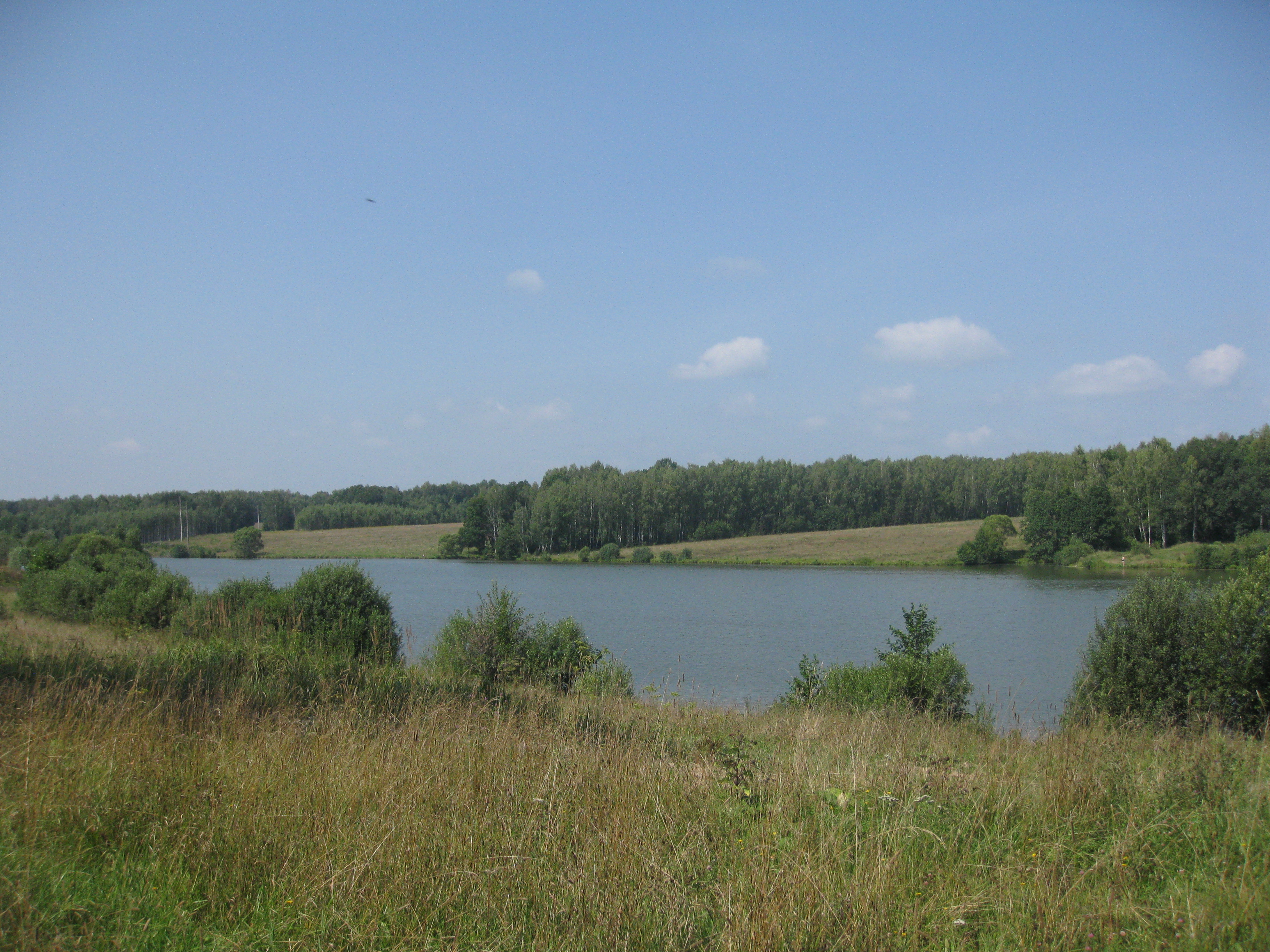 Река Ока Егнышевка