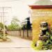 Perumahan Taman Bukit Azhar di kota Kota Palembang