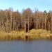 Остатки старинной аллеи в городе Москва