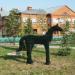 Лошадь в городе Арск