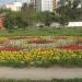 Клумба в городе Екатеринбург