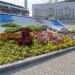 Клумба в городе Екатеринбург