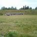 Lasketiir (Стрелковый тир) в городе Тапа