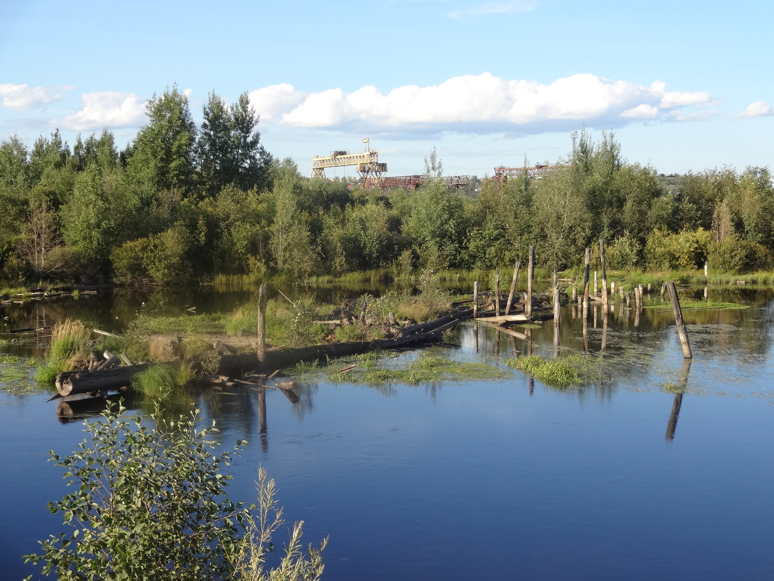 Река турья