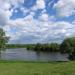 Пьяная лука в городе Коломна
