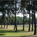 German War Cemetery (WW2)