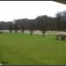 Reichswald Forest War Cemetery