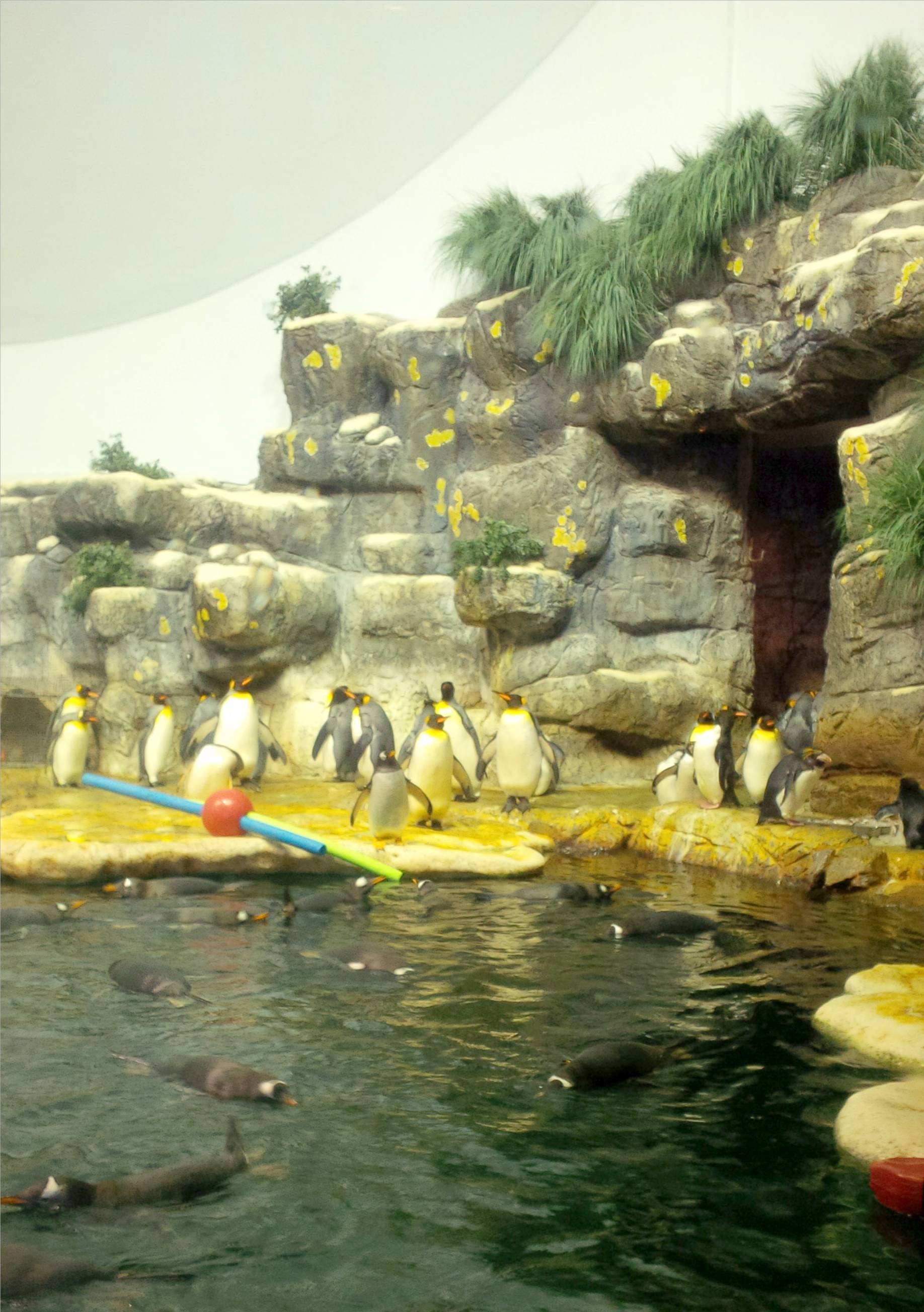 Aquarium Pyramid Galveston, Texas