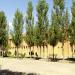 Payam Noor University of Mahabad (en) in Mehabad city