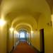 Hotel Domus Maria (it) yra Vilnius mieste