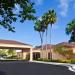 Courtyard Tampa Westshore/Airport in Tampa, Florida city