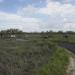 Palo Alto Battlefield National Historic Park