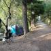 Camping San Michele