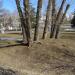 Холм с тополями в городе Екатеринбург