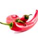 Red Chilly Multicuisine Restaurant