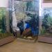 Музейная экспозиция «Фауна Нижегородского края» в городе Нижний Новгород