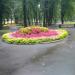 Цветник в городе Москва