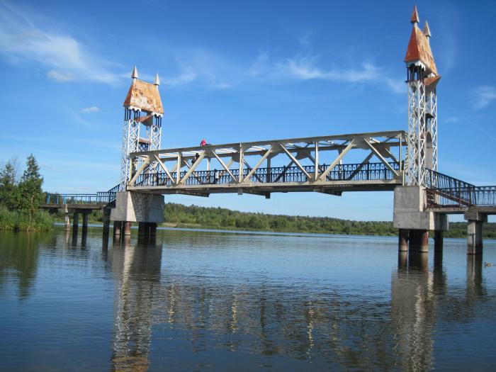 Мост Через Пруд Фото