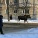 Заречный в городе Заречный