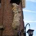 Madonna with Child in Antwerp city