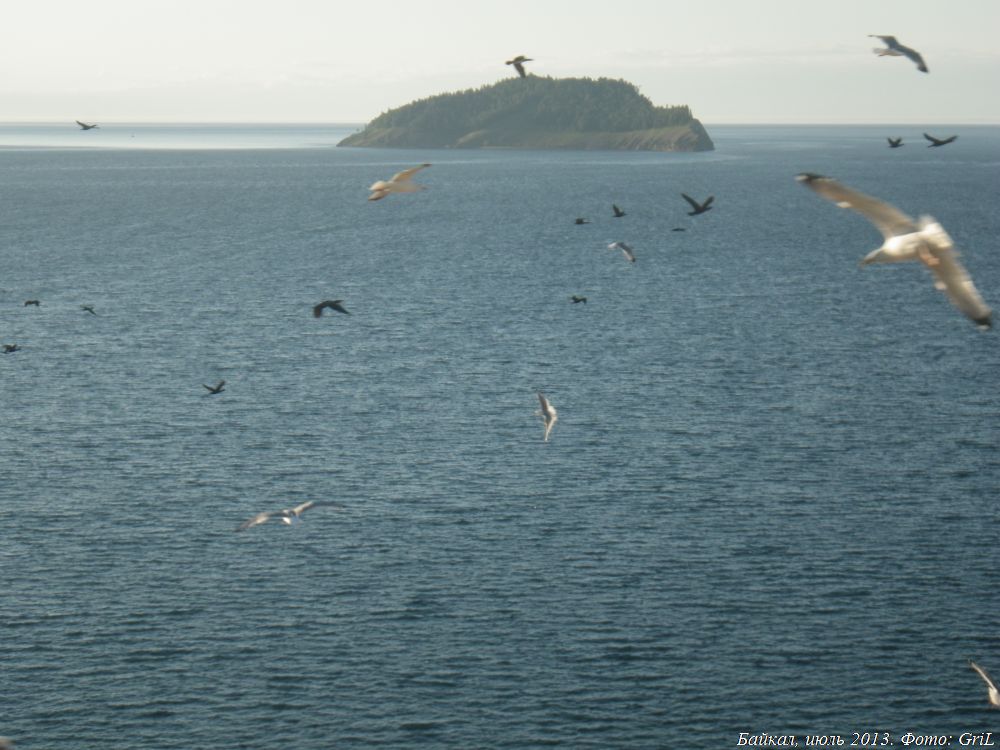 Рыбалка на Рузском водохранилище Lovi-Rubky.ru