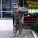 Skulptūra „Skaitantis žmogus“ yra Šiauliai mieste