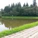 Пруд в городе Голицыно
