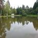 Пруд в городе Голицыно