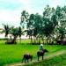 LÔ ĐẤT 2000m2 trong Thành phố Biên Hòa thành phố
