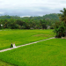LÔ ĐẤT 2000m2 trong Thành phố Biên Hòa thành phố