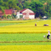 LÔ ĐẤT 2000m2 trong Thành phố Biên Hòa thành phố