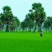 LÔ ĐẤT 2000m2 trong Thành phố Biên Hòa thành phố