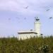 Faro delle Formiche di Grosseto