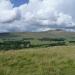 Whernside 736m