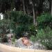 Walnut Grove 1 in Paphos city